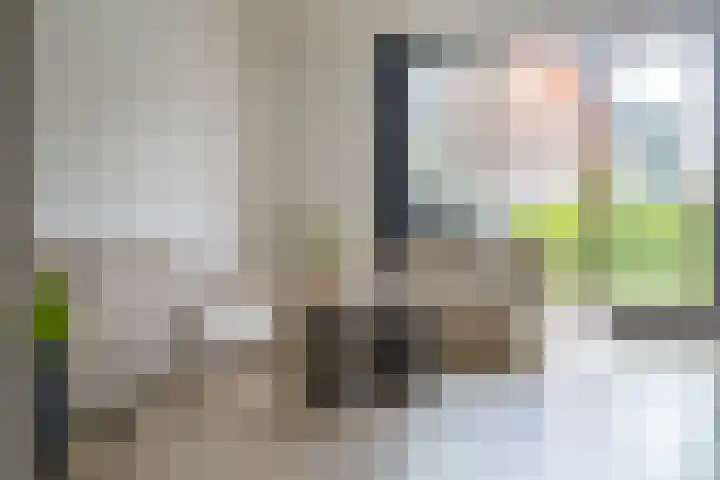 Vlotgras 29 Assendelft thumbnail 9
