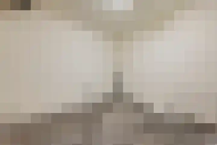 Vluttersven 13 Eindhoven thumbnail 11