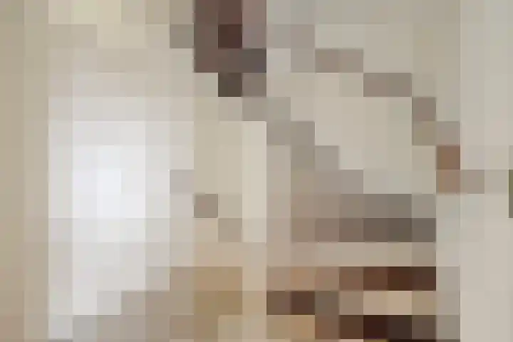 Vluttersven 13 Eindhoven thumbnail 14