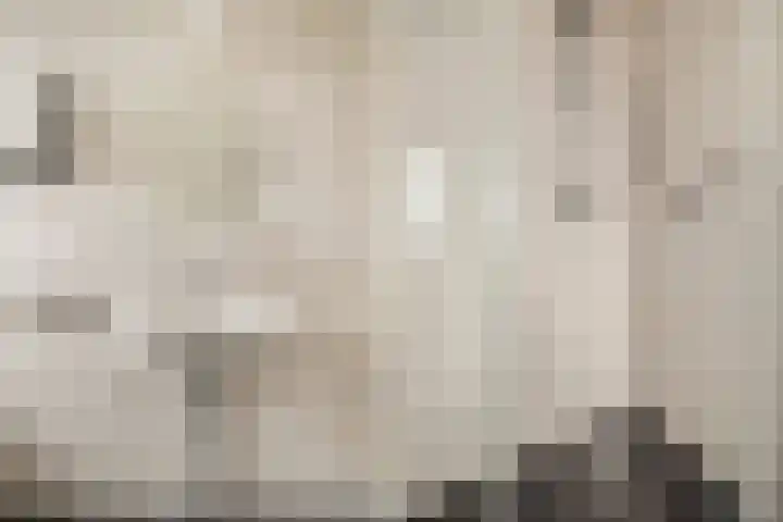 Vluttersven 13 Eindhoven thumbnail 22