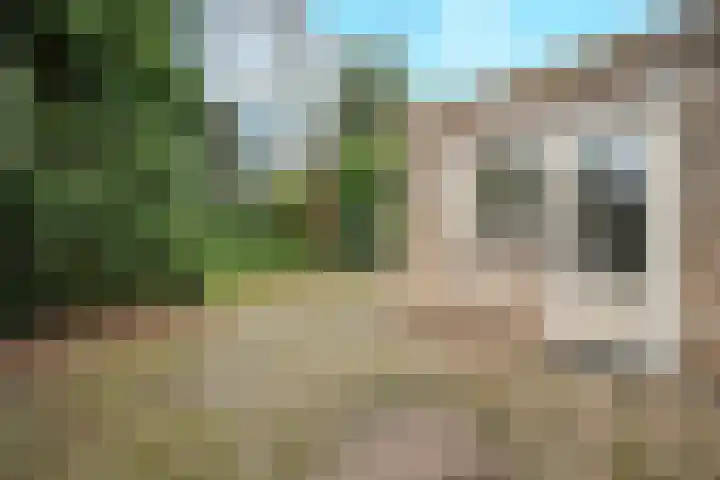 Vluttersven 13 Eindhoven thumbnail 25