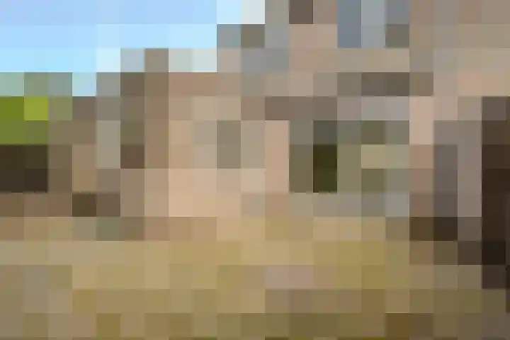 Vluttersven 13 Eindhoven thumbnail 26