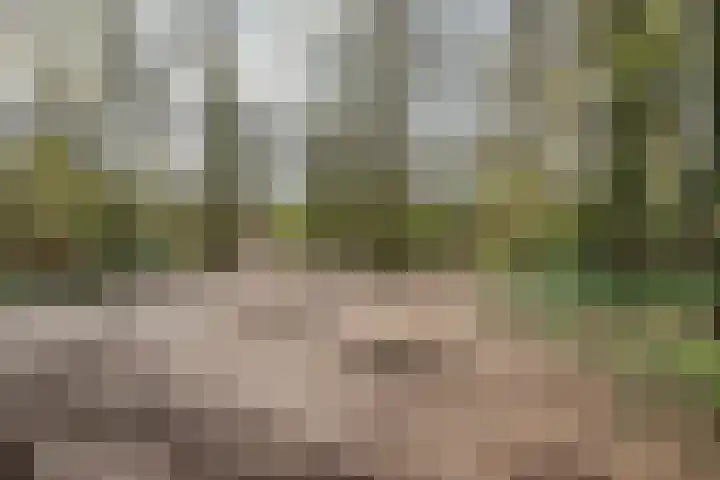 Vluttersven 13 Eindhoven thumbnail 29