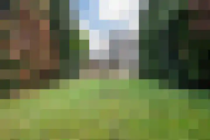 Vluttersven 13 Eindhoven thumbnail 4