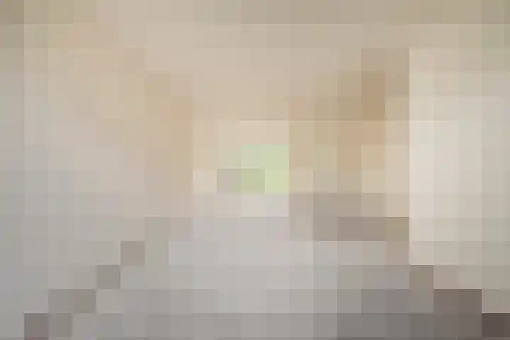 Vluttersven 13 Eindhoven thumbnail 7