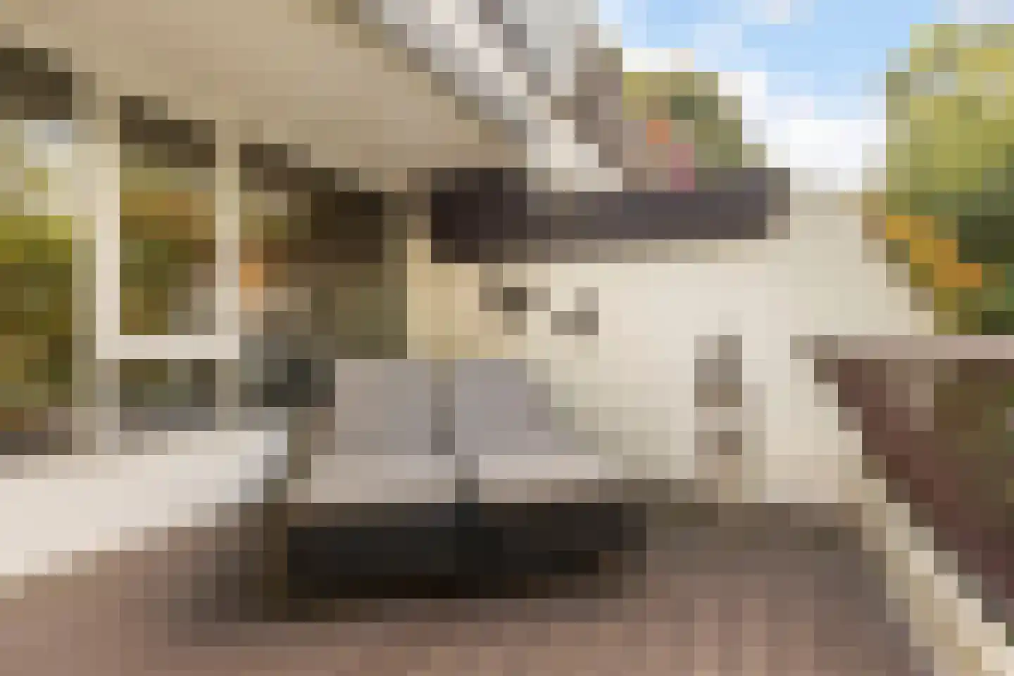 Voerakker 164 Ede thumbnail 31
