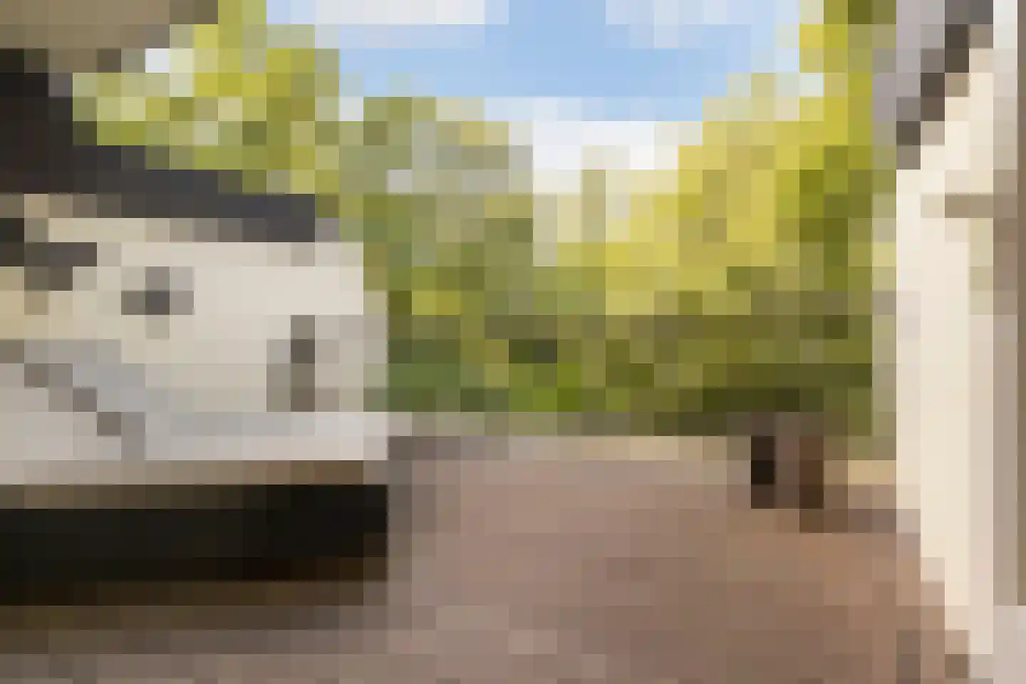 Voerakker 164 Ede thumbnail 32