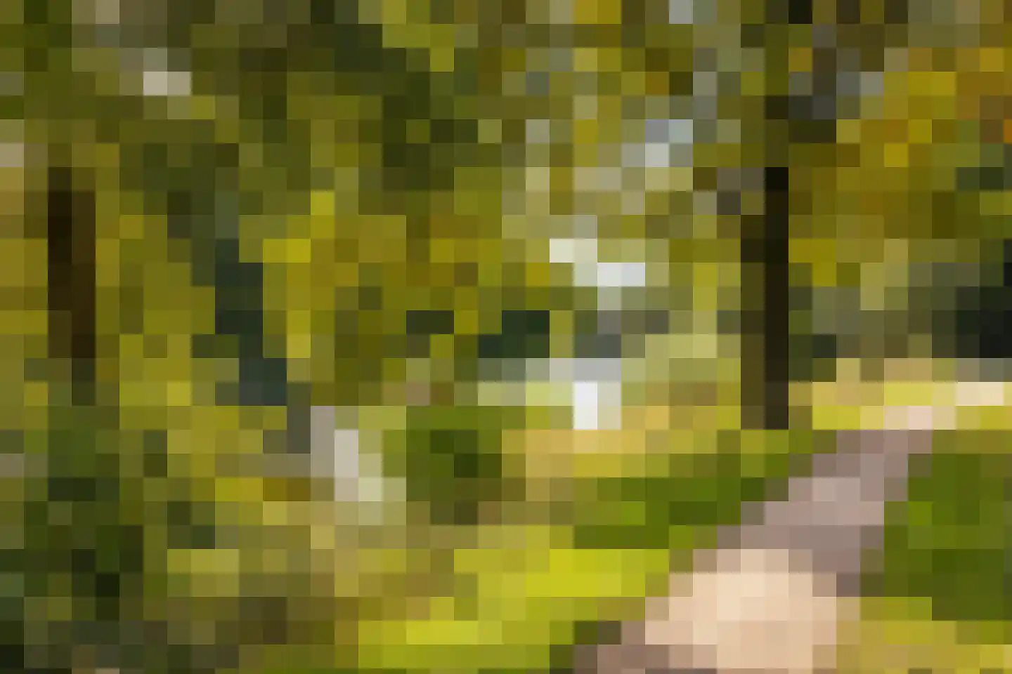 Voerakker 164 Ede thumbnail 39