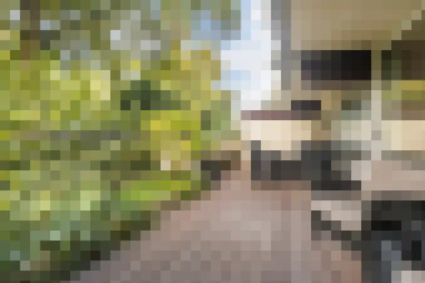 Voerakker 164 Ede thumbnail 4