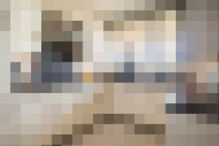 Voerakker 264 Ede thumbnail 25