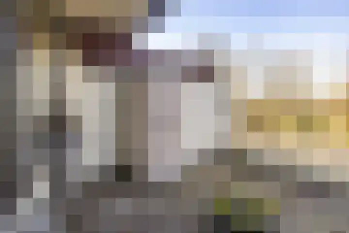 Voerakker 264 Ede thumbnail 28