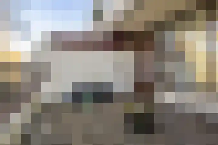 Voerakker 264 Ede thumbnail 29