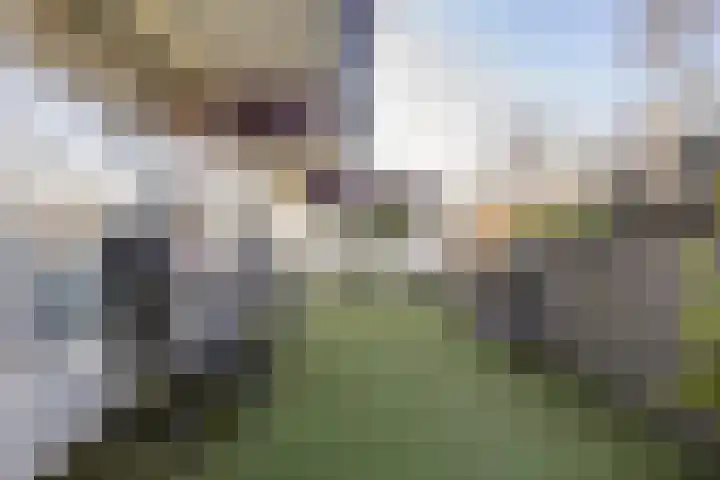 Voerakker 264 Ede thumbnail 34