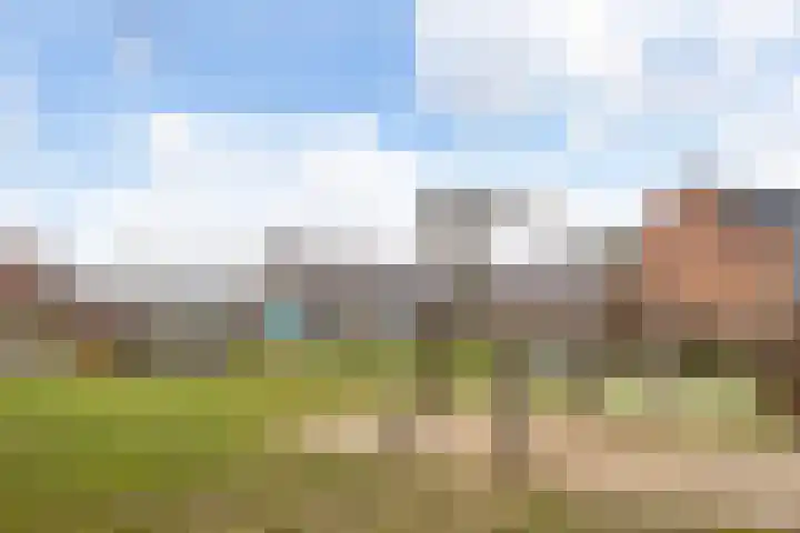 Voerakker 264 Ede thumbnail 42