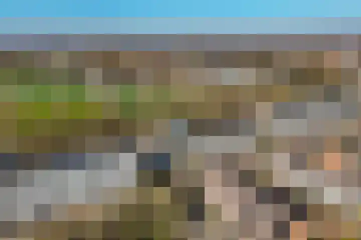 Voerakker 264 Ede thumbnail 43