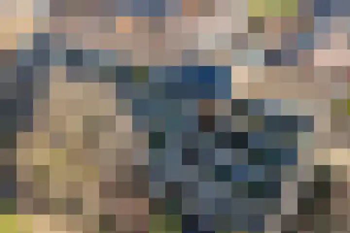 Voerakker 264 Ede thumbnail 6