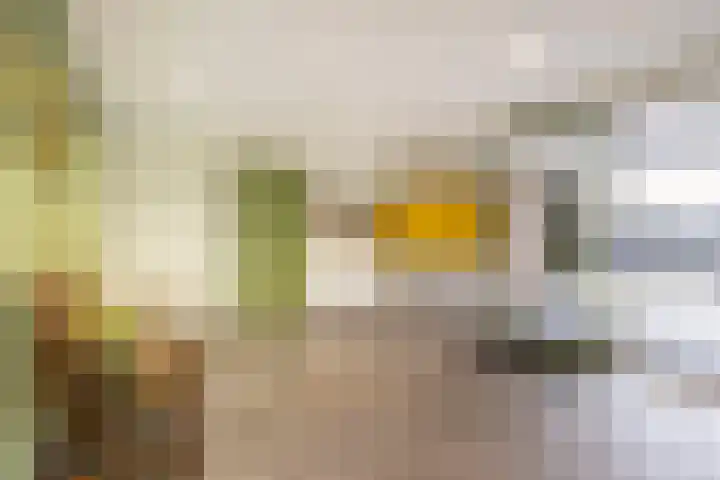 Voerakker 264 Ede thumbnail 7