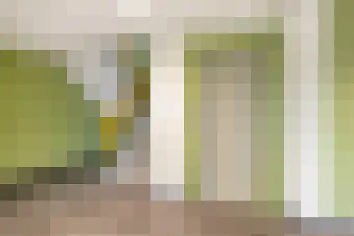 Voerakker 264 Ede thumbnail 8