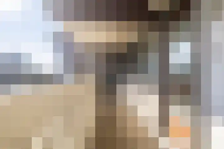 Voerakker 264 Ede thumbnail 9