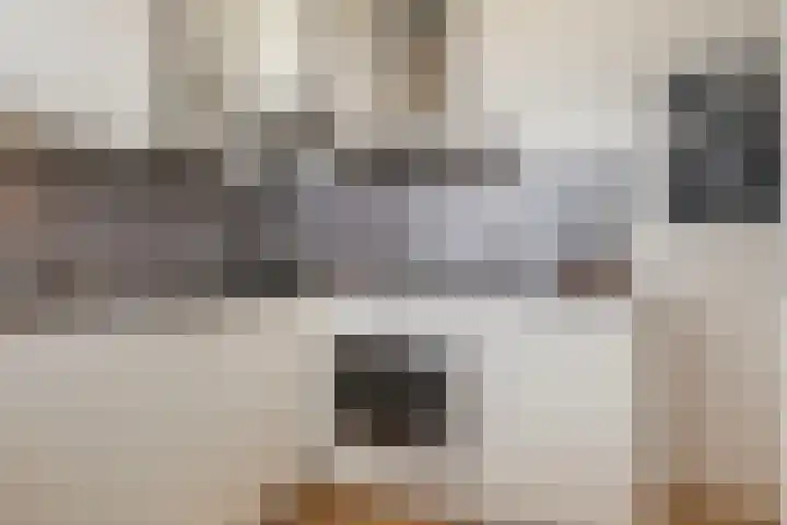 Voerakker 555 Ede thumbnail 13