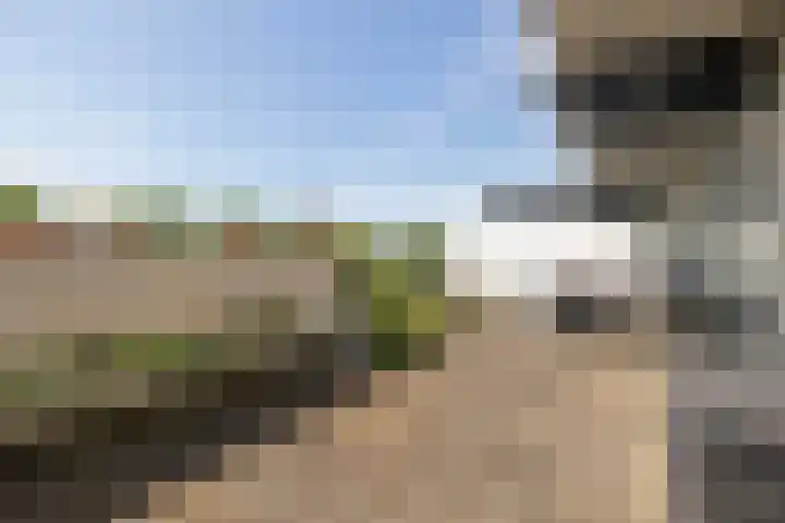 Voerakker 555 Ede thumbnail 18
