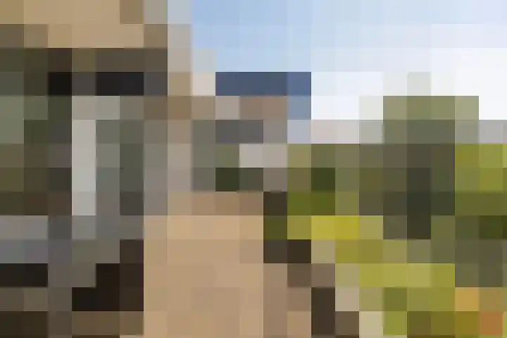 Voerakker 555 Ede thumbnail 19