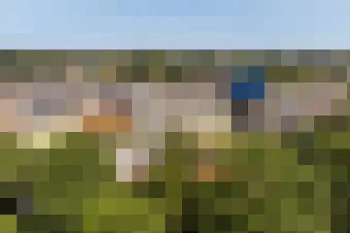 Voerakker 555 Ede thumbnail 21