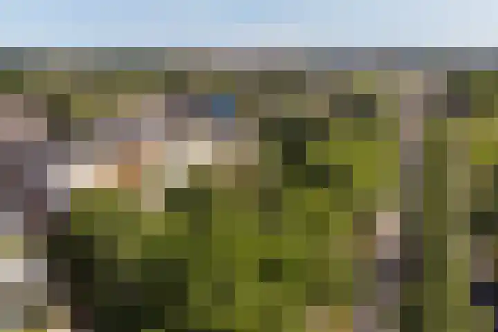 Voerakker 555 Ede thumbnail 22