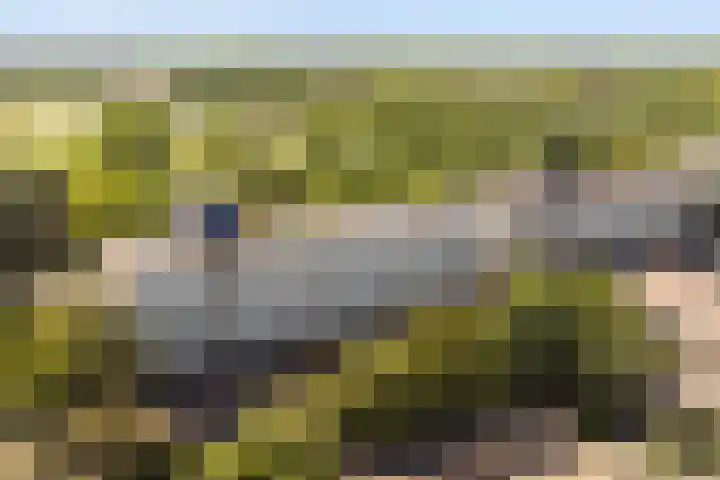 Voerakker 555 Ede thumbnail 23
