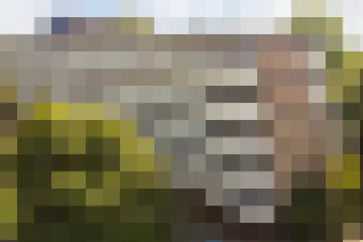 Voerakker 555 Ede thumbnail 24