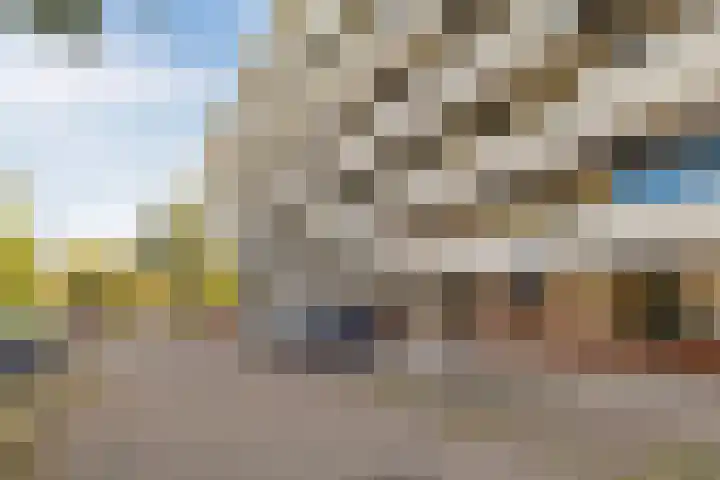 Voerakker 555 Ede thumbnail 25