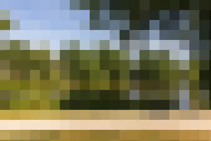 Voerakker 555 Ede thumbnail 26