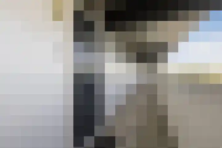 Voerakker 555 Ede thumbnail 4