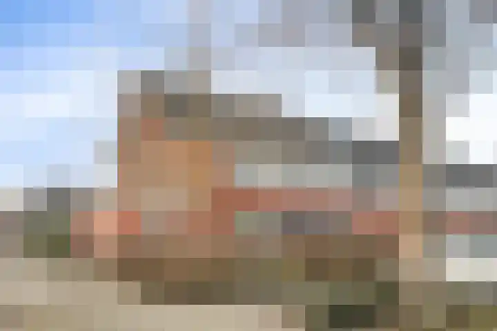 Voerman 1 Zeewolde