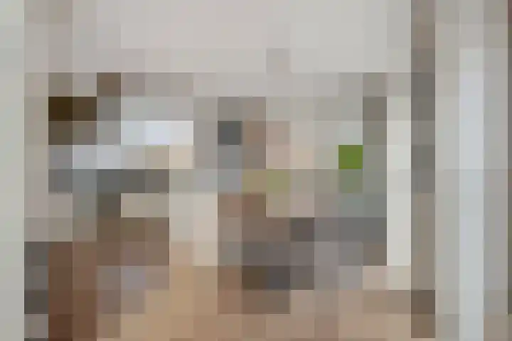 Voerman 1 Zeewolde thumbnail 11