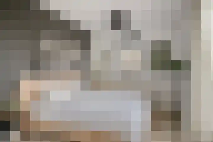 Voerman 1 Zeewolde thumbnail 12