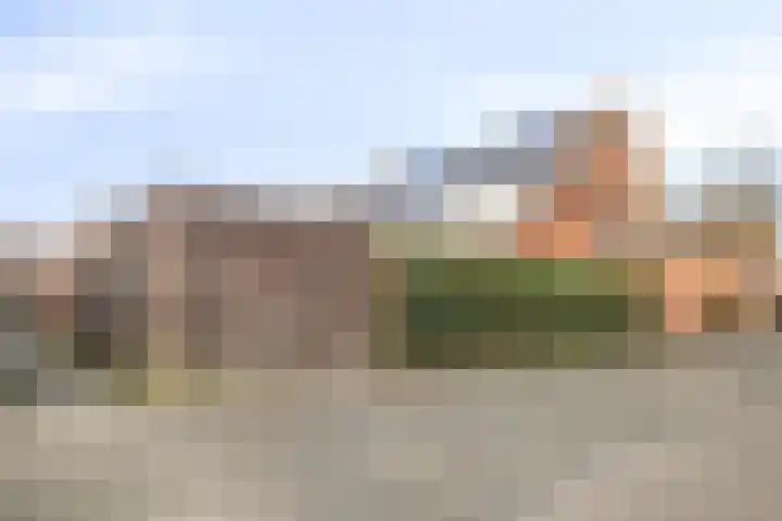 Voerman 1 Zeewolde thumbnail 22