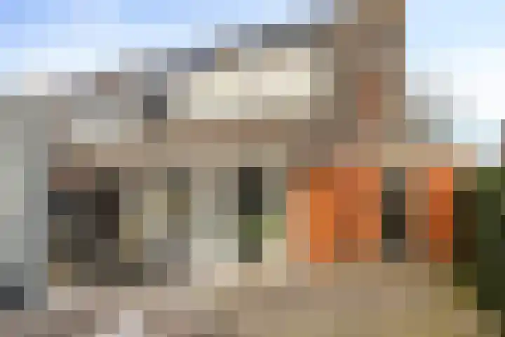 Voerman 1 Zeewolde foto 3