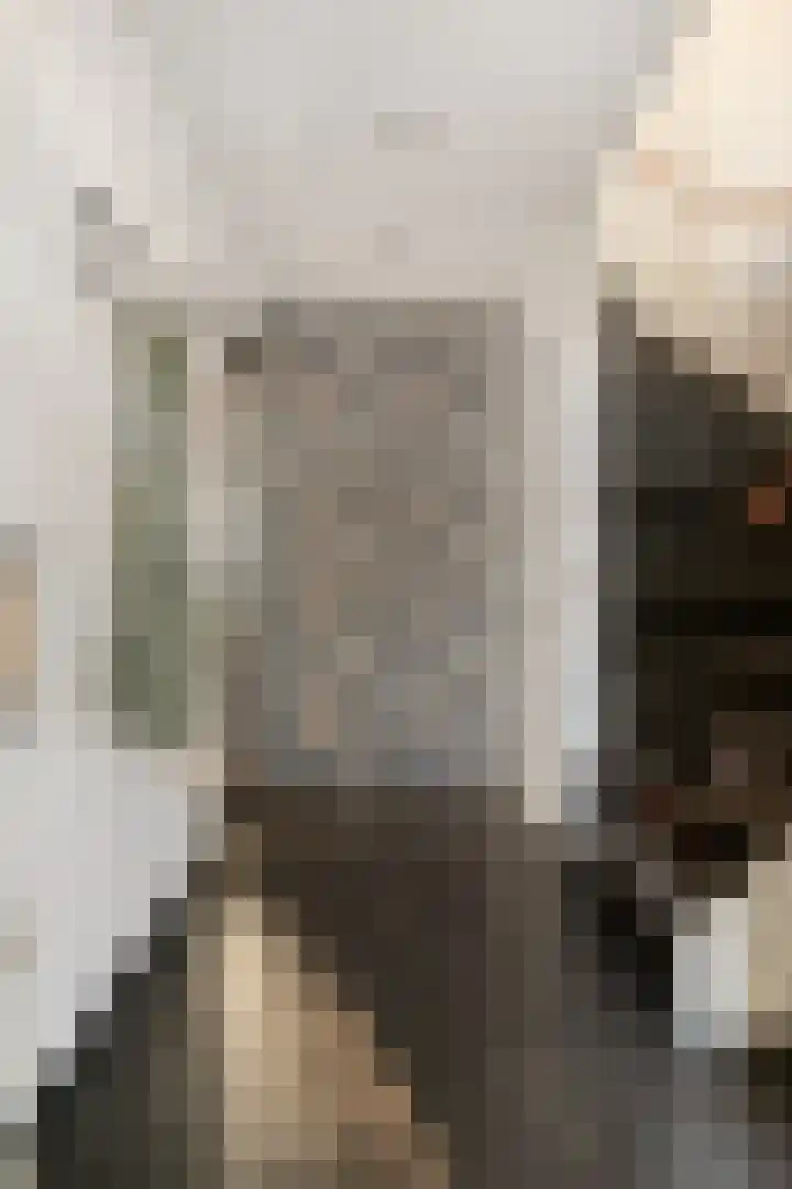 Voerman 1 Zeewolde thumbnail 5