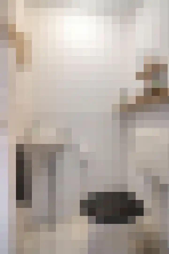 Voerman 1 Zeewolde thumbnail 6