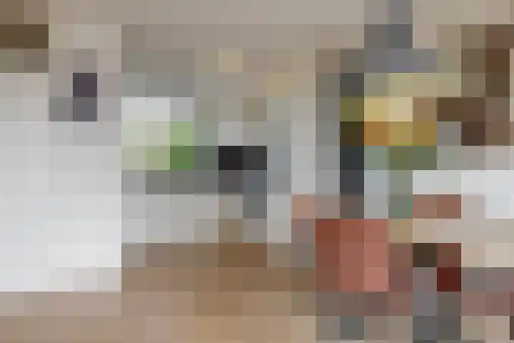 Voerman 174 Lisse thumbnail 11