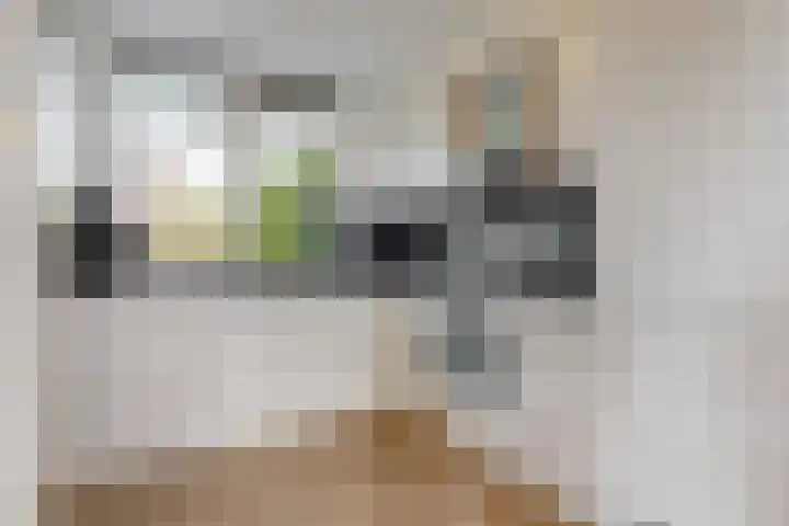 Voerman 174 Lisse thumbnail 13