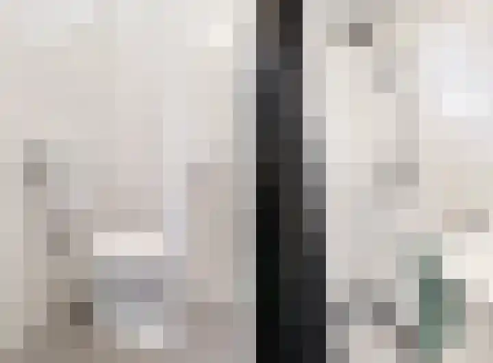 Voerman 174 Lisse thumbnail 17