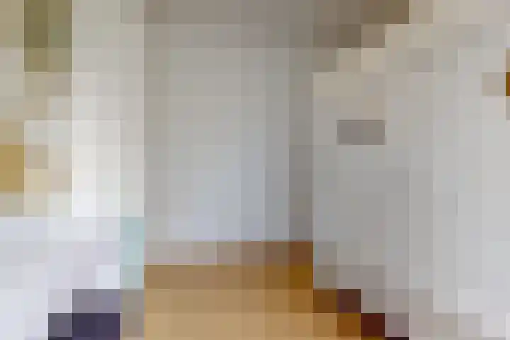 Voerman 174 Lisse thumbnail 19