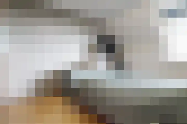 Voerman 174 Lisse thumbnail 20