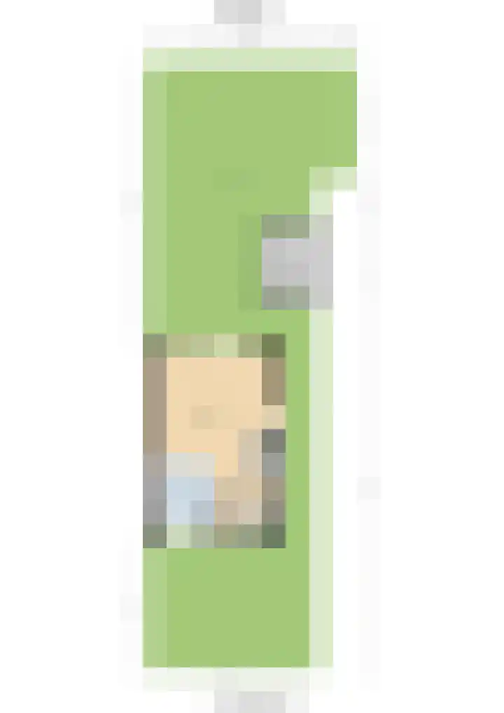 Voerman 174 Lisse thumbnail 27