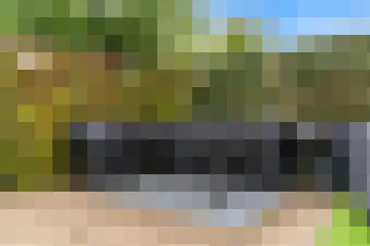 Voerman 174 Lisse thumbnail 30