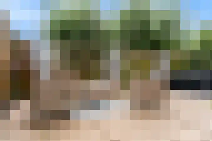 Voerman 174 Lisse thumbnail 32