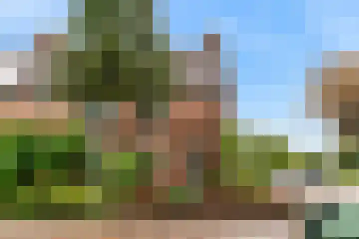 Voerman 174 Lisse thumbnail 37