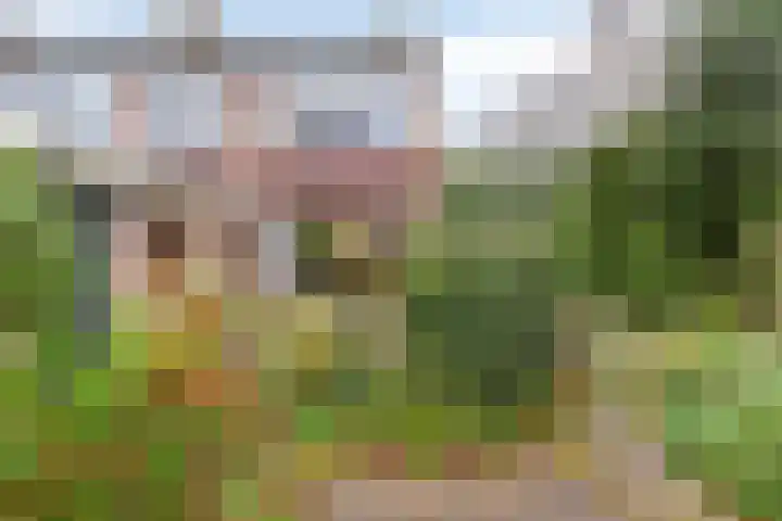 Voermanstraat 78 Arnhem thumbnail 23